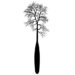 FOREST EDITION ARTWORK CHERRY TREE SLIVER PADDLE COMBINATION