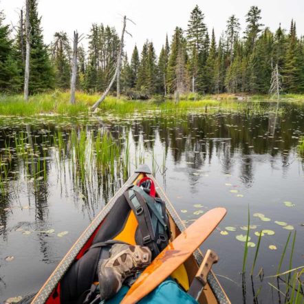 Canoe bow loaded full of gear including a custom laser engraved Badger canoe paddle with a wilderness shoreline in background