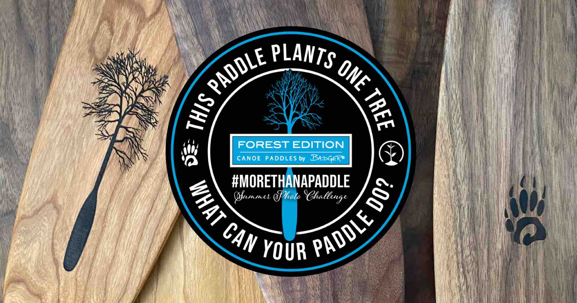 This paddle plants one tree. What can your paddle do? Forest Edition Canoe Paddles by Badger #morethanapaddle Summer Photo Challenge