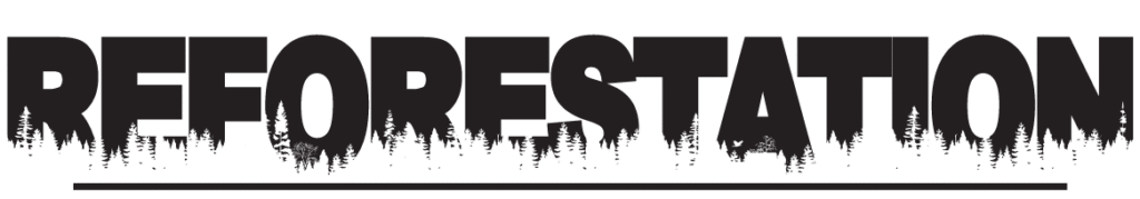 BLACK REFORESTATIONPAGE Cut out of trees on forested letters that depict the work REFORESTATION in black.